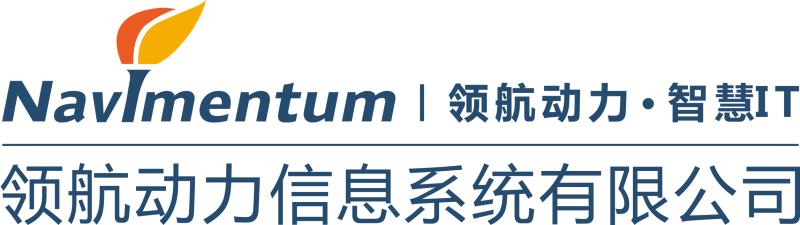 领航动力信息系统有限公司LOGO